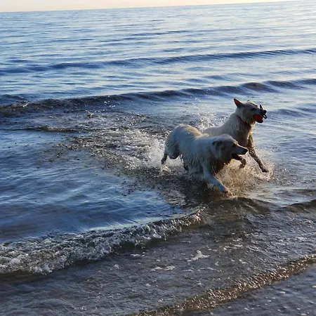 Apartment In An Der Granitz *